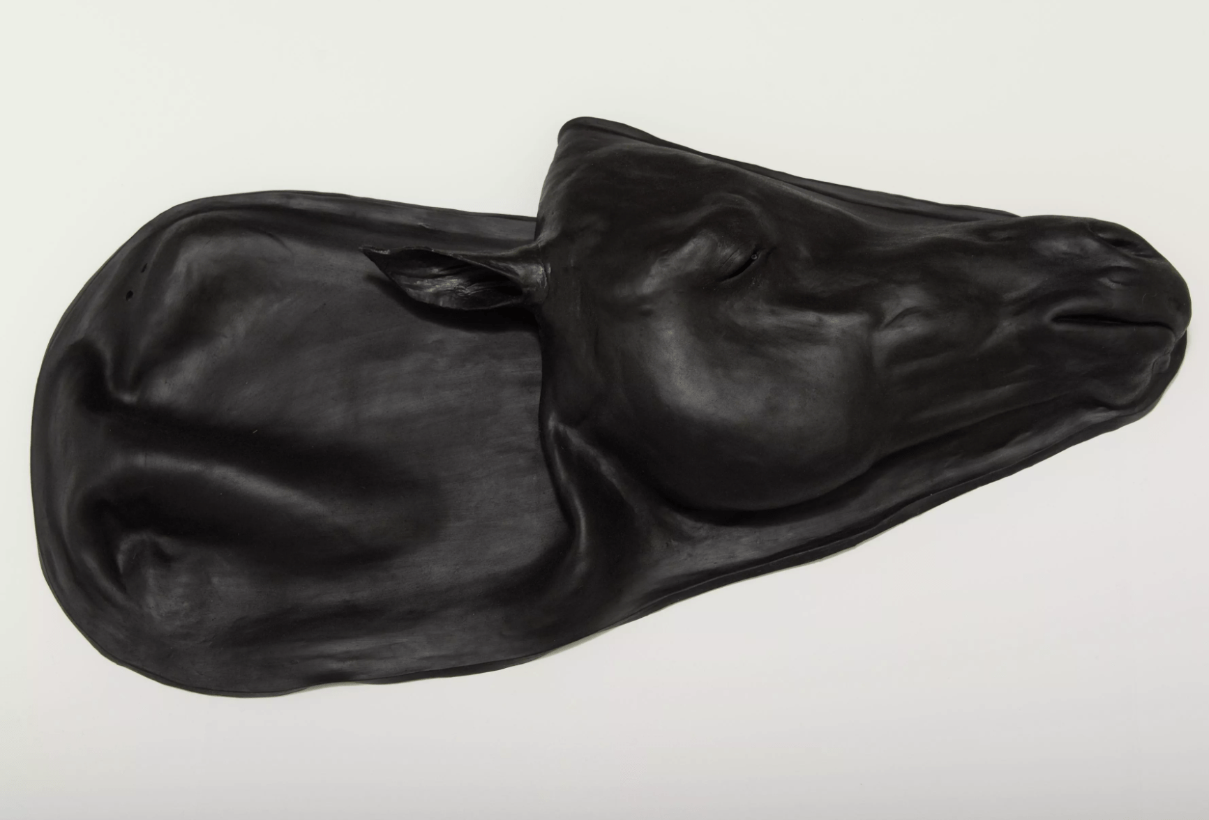 Ersatzhaut für Pferdesimulator 1.0 - Erler - Zimmer